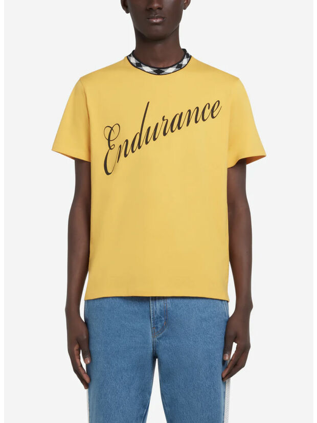T-SHIRT ENDURANCE, 300 TURMERIC, large