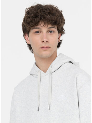 FELPA SUMMERDALE HOODIE, A281 LIGHT GREY, small