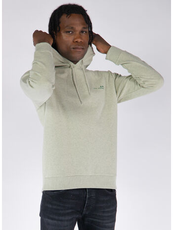 FELPA HOODIE ITEM OVERDYE, PKC VERT PALE CHINE, small