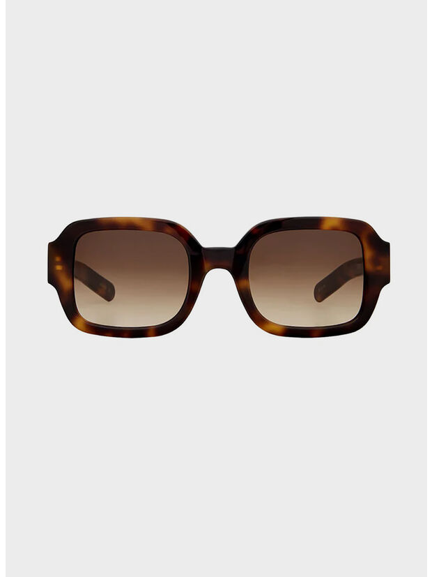 OCCHIALE TISHKOFF, 699 TORTOISE / SOLID BLACK LENS, large
