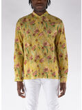 HIBISCUS YELLOW