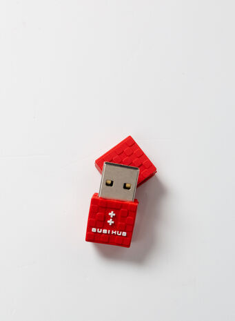 FLASH DRIVE RED BRICK  SUSIHUB, RED, small