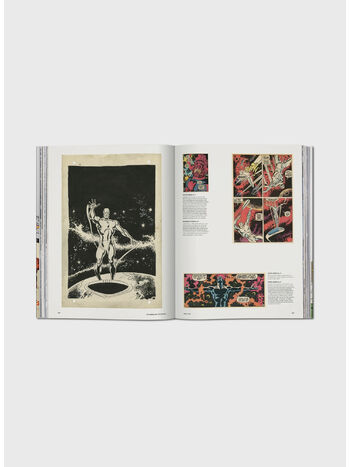 LIBRO THE MARVEL AGE OF COMICS 1961&ndash;1978, VU, small