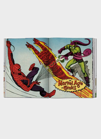 LIBRO MARVEL AGE OF COMICS 1961–1978, MARVEL, small