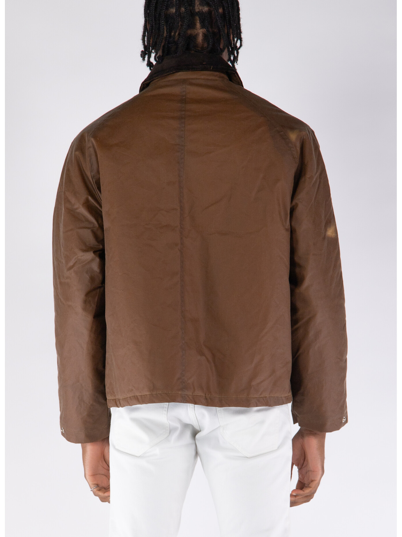AURALEE - SUNFLOWER Waxed Coat TAN Ours ROSE着用 完売品の