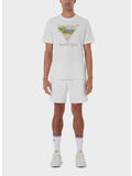TENNIS CLUB ICON