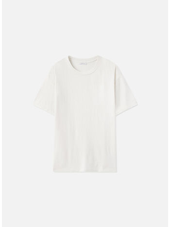 T-SHIRT UNIVERSITY, A190M14519A SALT, small