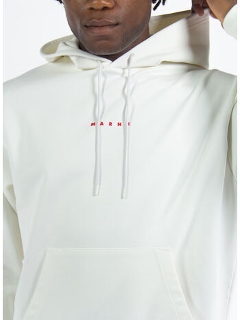 FELPA LOGO, , small