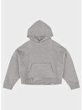 FELPA ARCHIVE HEAVY HOOD UNISEX, 6236 GREY MARLE, thumb