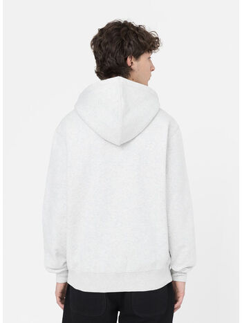 FELPA SUMMERDALE HOODIE, A281 LIGHT GREY, small