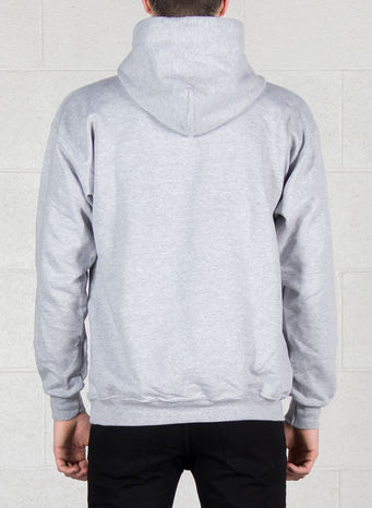 FELPA SKATE MAG HOOD, GREY, small